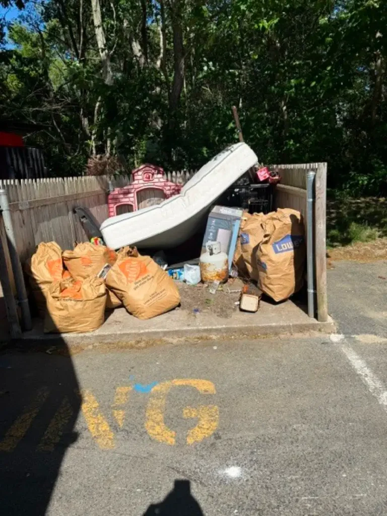 soutcoast junk image 02