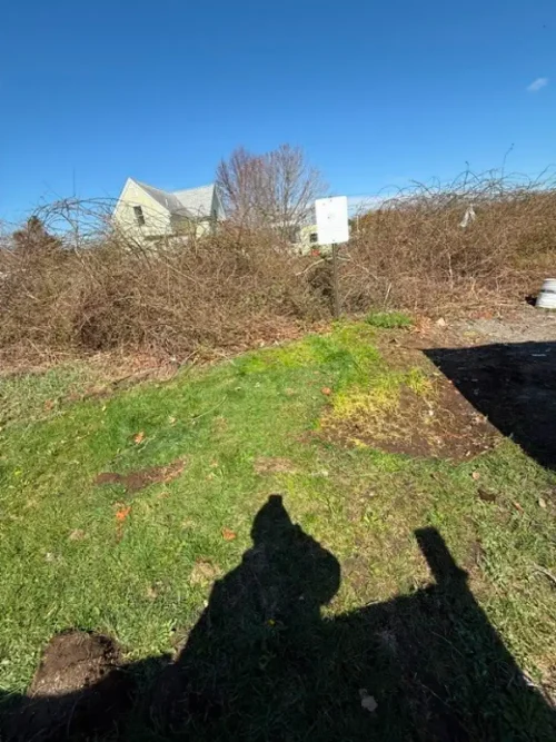 soutcoast junk image 03